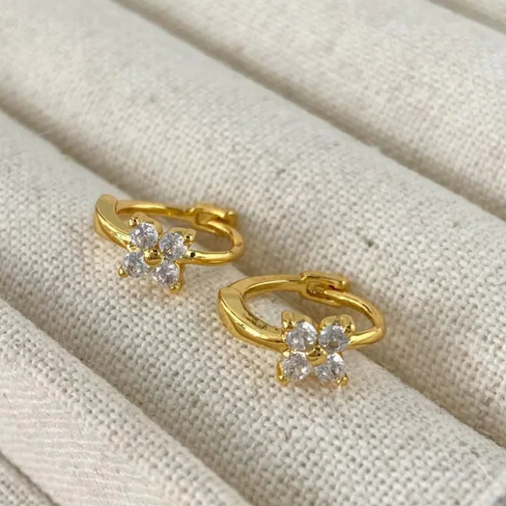 Sada de la suerte brillante